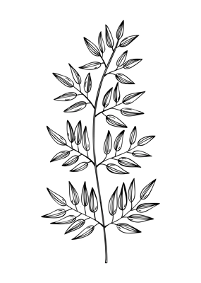 Decorative autumn leaf sketch. Tropical foliage drawing. Hand drawn botanical element in sketched style. Sketched fall leaves illustrations. For Thanksgiving day design.